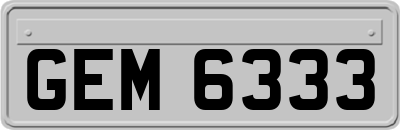 GEM6333