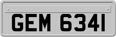 GEM6341