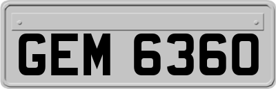 GEM6360