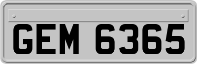 GEM6365