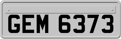 GEM6373