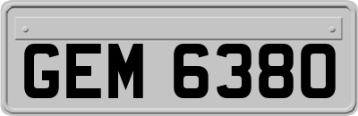 GEM6380