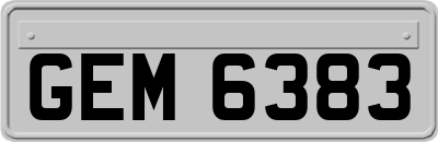 GEM6383