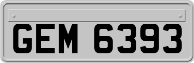 GEM6393