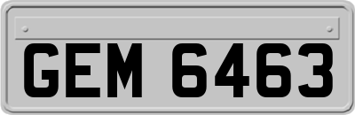 GEM6463