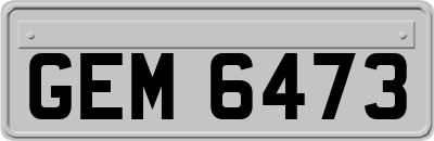 GEM6473