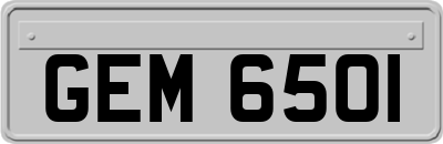 GEM6501