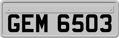 GEM6503
