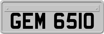 GEM6510