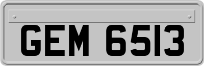 GEM6513
