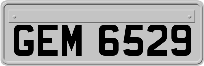 GEM6529