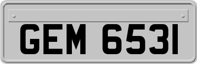 GEM6531