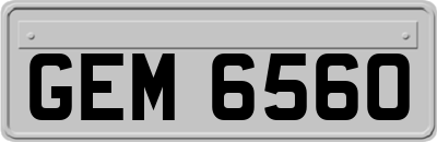 GEM6560