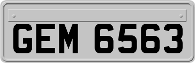 GEM6563