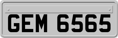 GEM6565