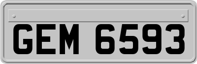GEM6593