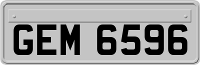 GEM6596