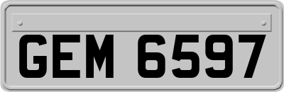 GEM6597
