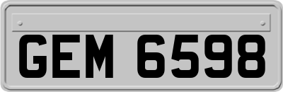 GEM6598