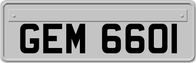 GEM6601