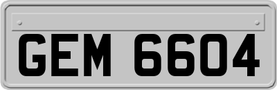 GEM6604