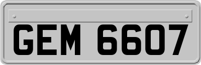 GEM6607