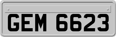 GEM6623