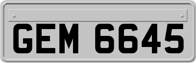 GEM6645