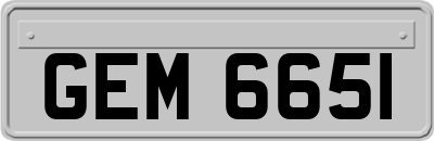GEM6651