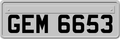 GEM6653