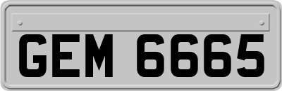 GEM6665