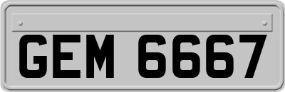 GEM6667