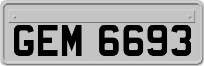 GEM6693