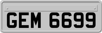 GEM6699
