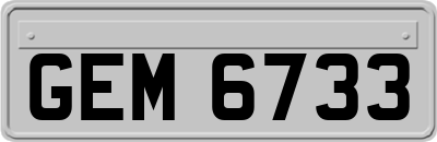 GEM6733