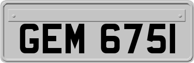 GEM6751