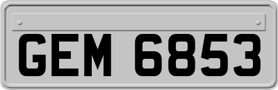 GEM6853