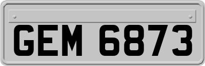 GEM6873