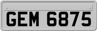 GEM6875