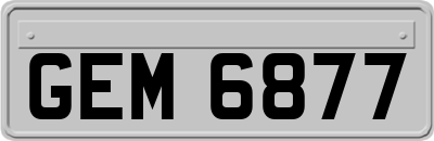 GEM6877