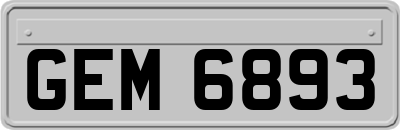 GEM6893