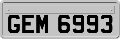 GEM6993