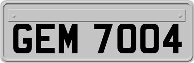 GEM7004