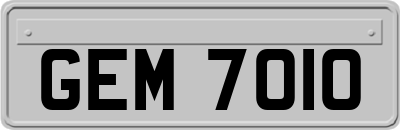 GEM7010