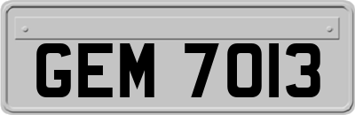 GEM7013