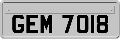 GEM7018