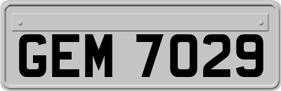 GEM7029