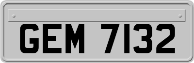GEM7132