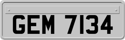 GEM7134
