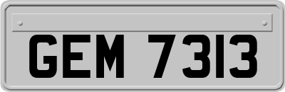 GEM7313